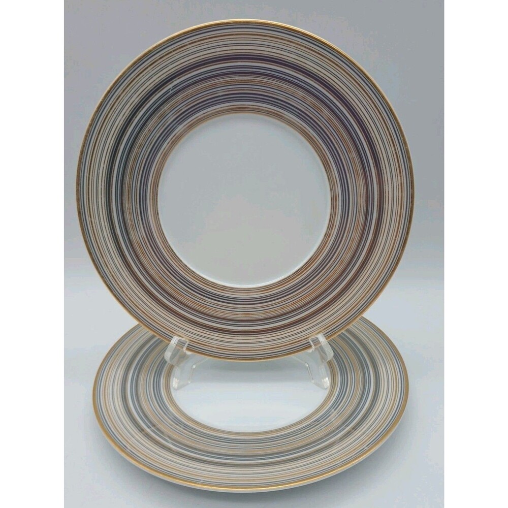 Raynaud Limoges Attractions Or & Platine Salad Plates Set Of 2 Lunch Assiette